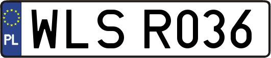 WLSR036