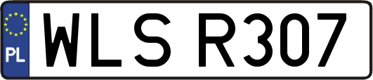 WLSR307