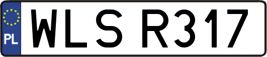 WLSR317