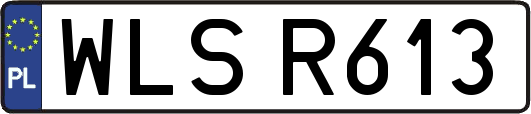 WLSR613