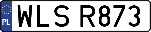 WLSR873