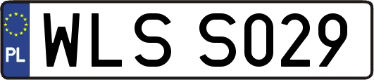 WLSS029