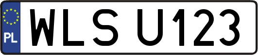 WLSU123