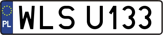 WLSU133