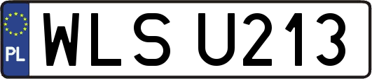 WLSU213