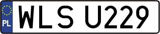 WLSU229
