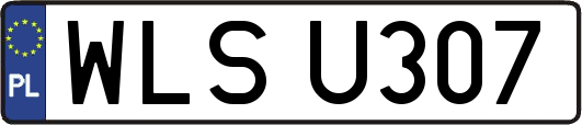 WLSU307