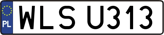 WLSU313
