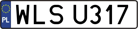 WLSU317