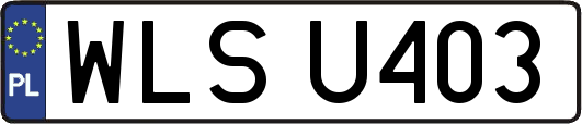 WLSU403
