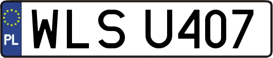 WLSU407