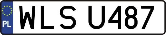 WLSU487