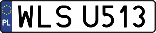 WLSU513
