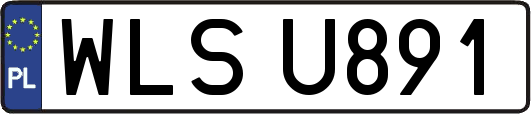WLSU891