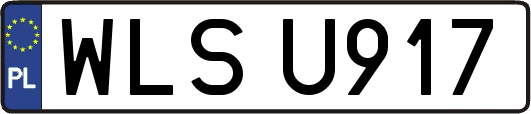 WLSU917