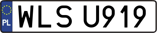 WLSU919