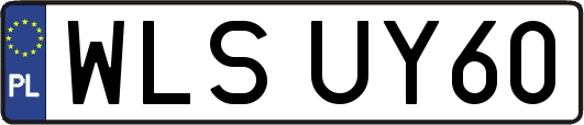 WLSUY60