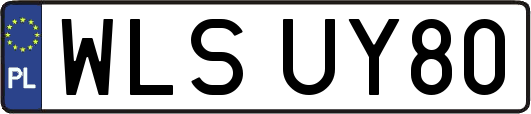 WLSUY80