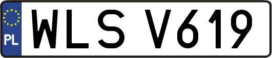 WLSV619