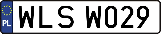 WLSW029