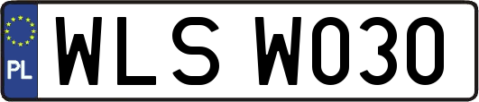 WLSW030