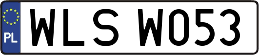 WLSW053