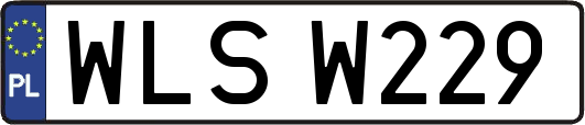 WLSW229