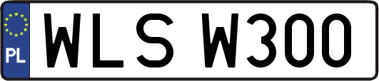 WLSW300