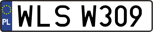 WLSW309