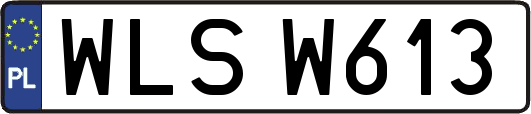 WLSW613