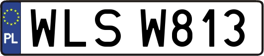 WLSW813