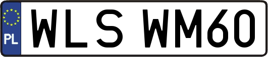 WLSWM60