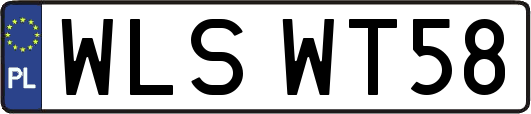 WLSWT58