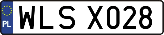 WLSX028