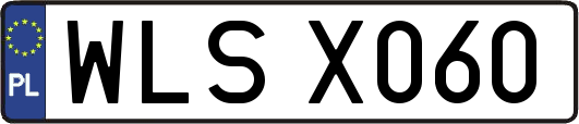 WLSX060