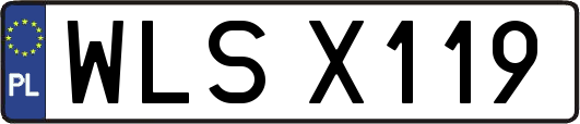 WLSX119