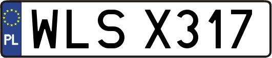 WLSX317
