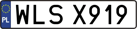 WLSX919