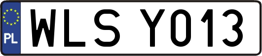 WLSY013