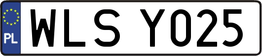 WLSY025