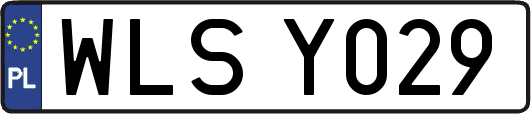 WLSY029