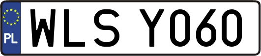 WLSY060