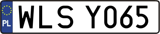 WLSY065