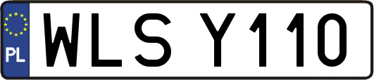 WLSY110