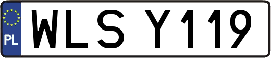 WLSY119