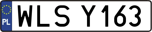 WLSY163