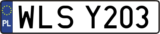 WLSY203