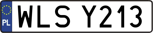 WLSY213