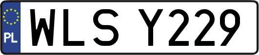 WLSY229