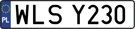 WLSY230